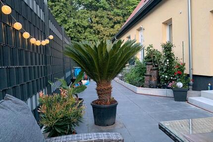 Haus zu verkaufen - 450.000,00&nbsp;EUR Kaufpreis, ca.&nbsp; 132,00&nbsp;m&sup2; in Sulzfeld (PLZ: 75056)