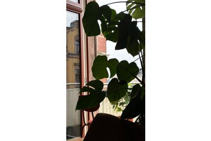 Helle 2,5 Zimmer mit Einbauküche, Balkon und Fußbodenheizung - Chemnitz Hilbersdorf