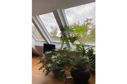 Exklusive 3,5 Zimmer Wohnung (Haustierfreundlich) - Filderstadt