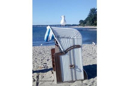 Ferienwohnung SierksdorfOstsee Strand Hansapark bis 4 Personen - Neustadt in Holstein