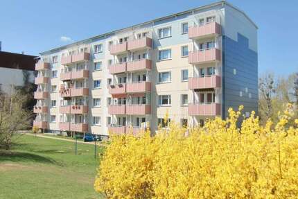 Wohnung zum Mieten in Prenzlau 405,00 € 60.8 m²