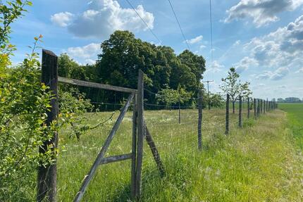 Streuobst- heu- Zelt- Freizeit- Wiese von privat - Bad Freienwalde (Oder)