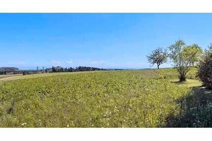 Grundstück zu verkaufen in Emmingen-Liptingen 295.000,00 € 751 m²