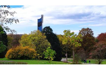 Helle und attraktive 2-Zimmer-Wohnung mit Balkon und Einbauküche - Lörrach