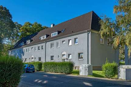 Wohnung zum Mieten in Dortmund 519,00 € 50 m²