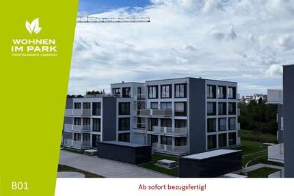 Wohnung zum Kaufen in Langenau 412.900,00 € 79.48 m²