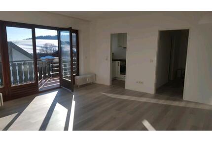 Schöne Ferienwohnung für Langzeitmieterin - Laufenburg (Baden)