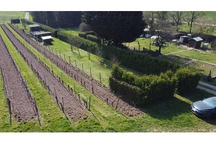 FreizeitgrundstückGarten in Windesheim (Gartenhaus & Grillplatz) - Bad Kreuznach