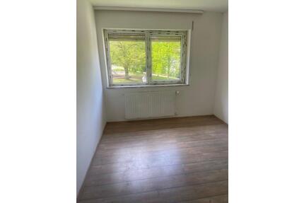 WG zimmer in Weingarten Stadtmitte Basilika