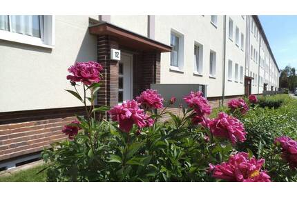 2-Raum Wohnung Stadtfeld West - 470,00&nbsp;EUR Kaltmiete, ca.&nbsp; 62,00&nbsp;m&sup2;&nbsp;Wohnfl&auml;che in Magdeburg (PLZ: 39110) Stadtfeld West
