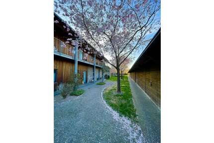 Wohnung zum Kaufen in Lich 425.000,00 € 96 m²