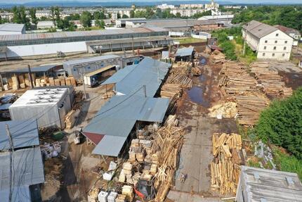 23000 Hektar Forstwirtschaft und Holzverarbeitungsbetrieb - Damme