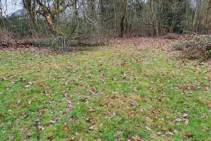 1300m² Garten Wiese Weide in Oberursel nahe Maasgrund Heide - Oberursel (Taunus)