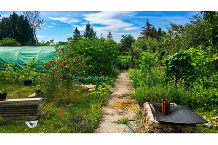 Kleingarten bei Erfurt (Ringleben) – 400 m² mit Gartenhaus - Elxleben