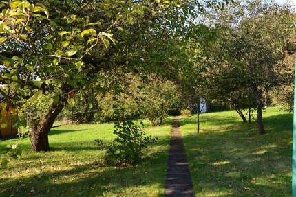 *2 Einfamilienhäuser auf einem Grundstück im beliebten OT Dreilinden* - Osterode am Harz