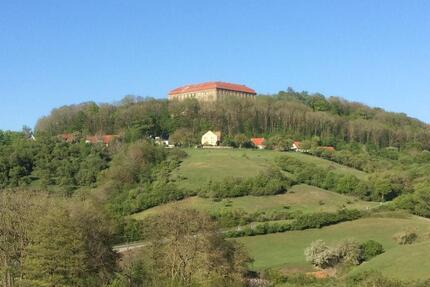 ❤️ Urlaub mit Hunden im wunderschönen Mittelfranken ❤️ - Schillingsfürst