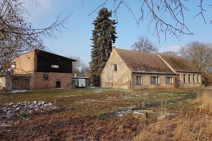 Provisionsfrei: Historisches Landhaus mit über 8000m2 Grundstück - Ferdinandshof
