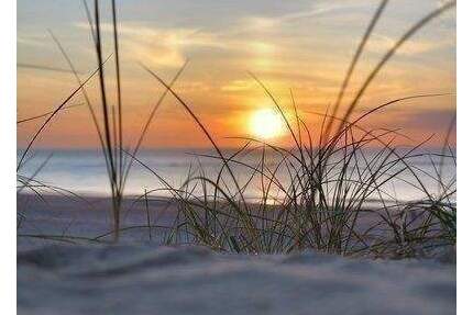 Zwei Baugrundstücke ca 200 m zur Ostsee Schnäppchenpreis ! - Glowe