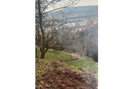 Schrebergarten zu Vermiete Stuttgart Wangen mit gemauerter Hütte