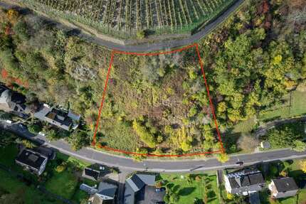 Grundstück zu verkaufen in Sankt Goar 85.000,00 € 3197 m²