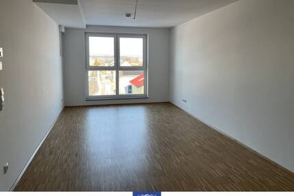 Eindrucksvoller Dachtraum mit moderner Ausstattung und EBK im Erstbezug! Lift! - Arnsdorf