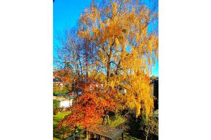 Wohnung zum Kaufen in Kirchseeon 337.500,00 € 74 m²