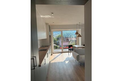 Apartment Wohnung vollmöbliert - 450,00&nbsp;EUR Kaltmiete, ca.&nbsp; 37,00&nbsp;m&sup2; in Traitsching (PLZ: 93455)