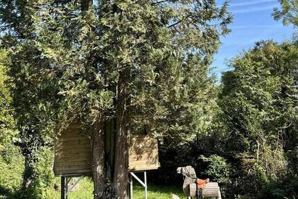 Charmantes Einfamilienhaus mit traumhaft großem Garten - ein Familienparadies mit Baumhaus - Vaihingen an der Enz Aurich