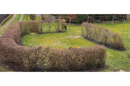 3 Zi. Zum 1.6.2026 - 520,00&nbsp;EUR Kaltmiete, ca.&nbsp; 72,00&nbsp;m&sup2; in Hohenlockstedt (PLZ: 25551)