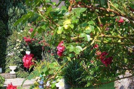 Renovierungsbedürftige Zweifamilienhaus 172 m² Wohnfläche mit ca. 606 m² Grundstück in Bruckmühl