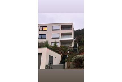 Doppelhaushälfte mit Einliegerwohnung mit Blick auf den Neckar - Heidelberg Peterstal