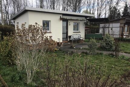 Kleingarten aus Altersgründen in Dresden Leuben abzugeben