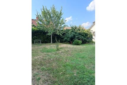 Gepflegte Doppelhaushälfte mit gr. Garten,Garage, Balkon Langenau