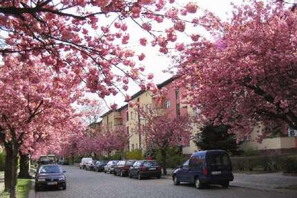 Wohnung zum Mieten in Berlin 501,61 € 48.41 m²