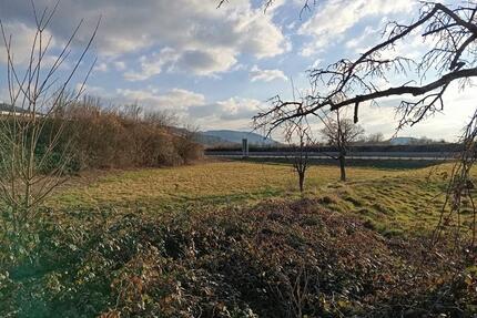 Wiese, Garten- Freizeitgrundstück zu verpachten, Ortenberg elger - Offenburg Elgersweier