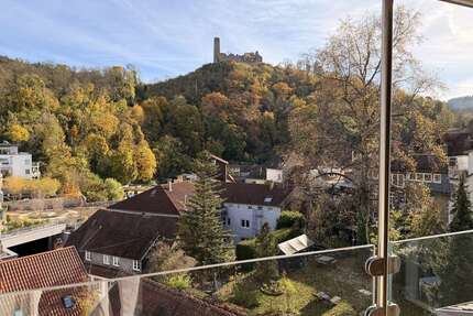 Wohnung zum Kaufen in Weinheim 790.000,00 € 170 m²