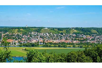 Wohnung zum Kaufen in Dresden 480.000,00 € 133 m²