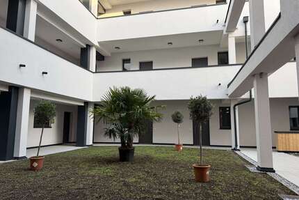 Wohnung zum Mieten in Gladbeck 976,05 € 62.34 m²