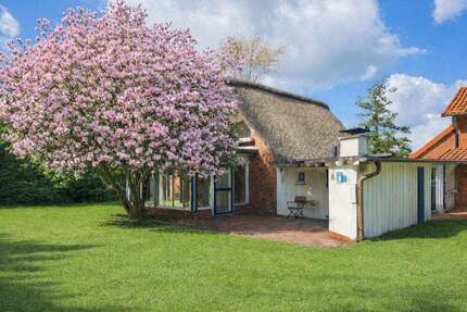 Reetdach-Ensemble in Deichlage - zwei Wohnhäuser auf 1.904 m² mit Bauoption - Drochtersen/Dornbusch