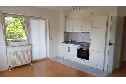 Helle Einzimmerwohnung mit 5 Stellplätzen in Ingelheim - Ingelheim am Rhein