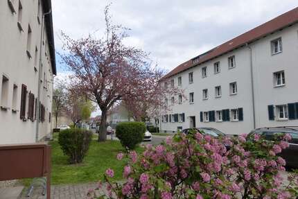 Wohnung zum Mieten in Merseburg 455,00 € 65 m²