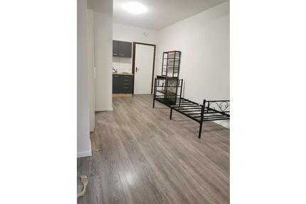 Saniertes und vollmöbliertes Studio-Appartment zu vermieten - Röthenbach an der Pegnitz