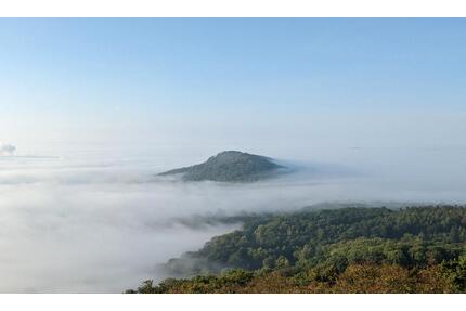 Kassel Brasselsberg Randlage Südwest 2400m²