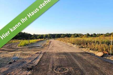 Haus zum Kaufen in Schneverdingen 423.330,00 € 130 m²