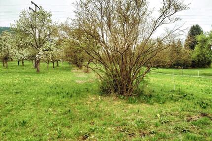 Grundstück Weil Pfullingen zu verpachten 700 m² - Reutlingen Reutlingen-Betzingen