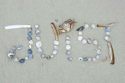 Wohnung zum Kaufen in Juist 299.000,00 € 31.44 m²