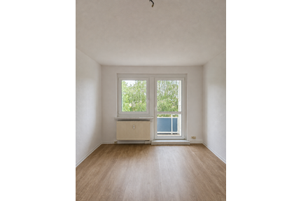 Wohnung zum Mieten in Döbeln 376,50 € 60 m²