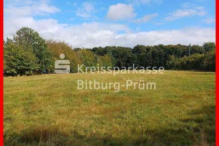 Attraktive Baugrundstücke in Ortsrandlage - Herforst