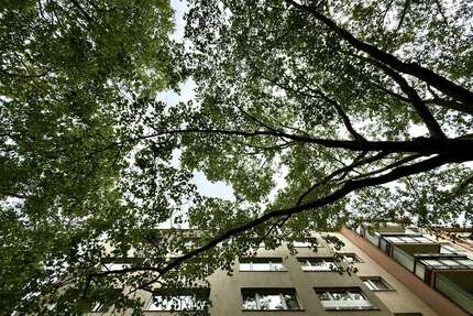 Wohnung zum Mieten in Berlin 699,00 € 26.4 m²