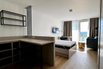 Modernes möbliertes Studio mit Skyline View in Sachsenhausen - Frankfurt am Main Sachsenhausen Süd